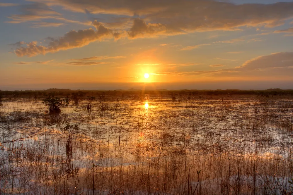 Everglades National Park