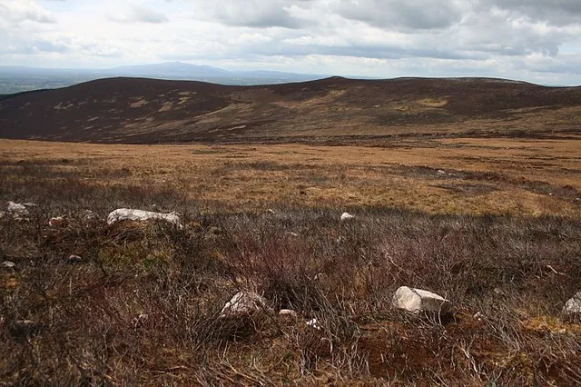 Slievenamon