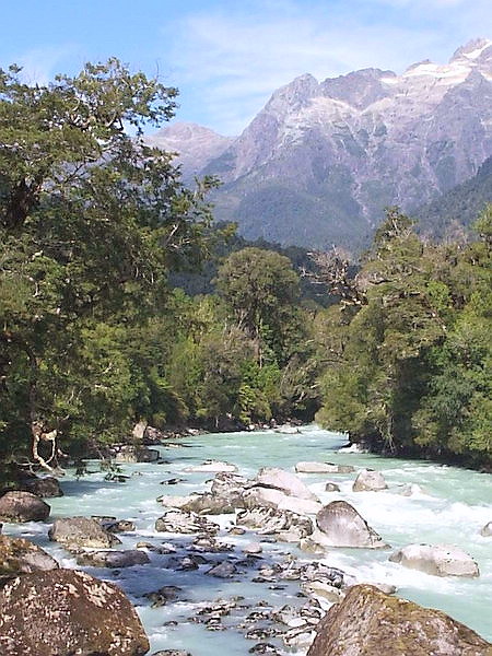 Hornopirén National Park