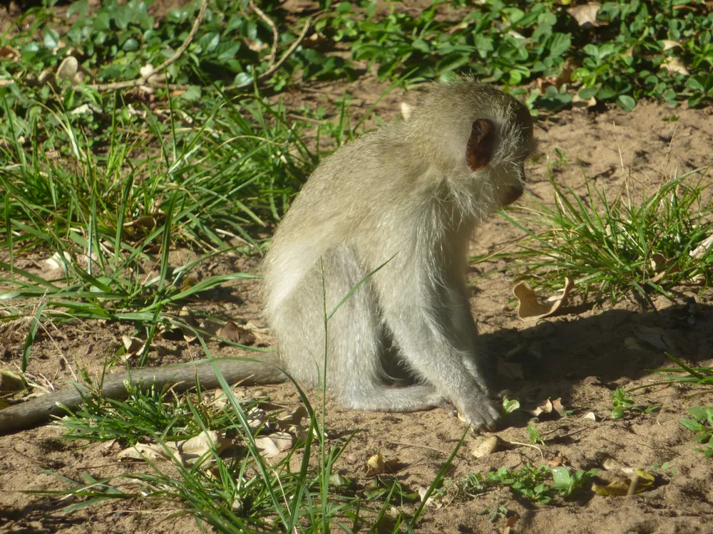 Sodwana Bay National Park