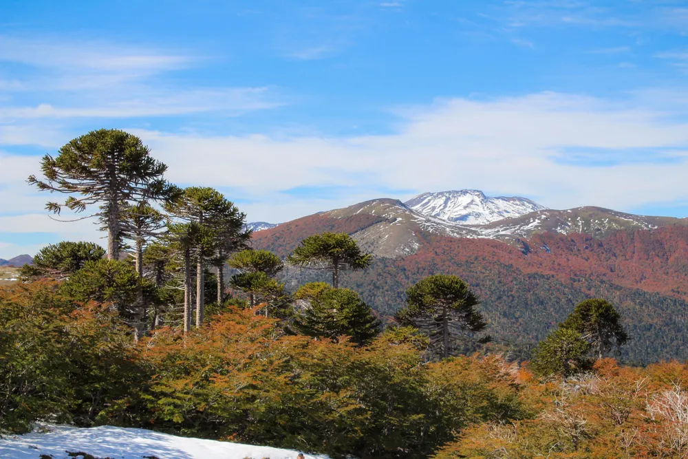 Villarrica National Park