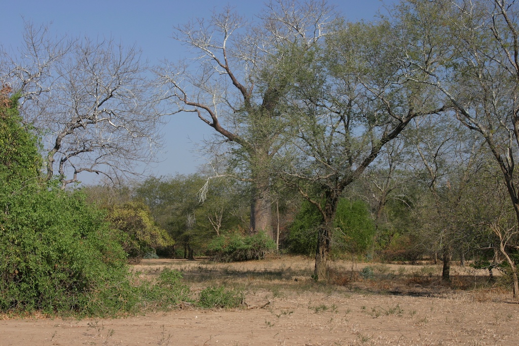 Lengwe National Park