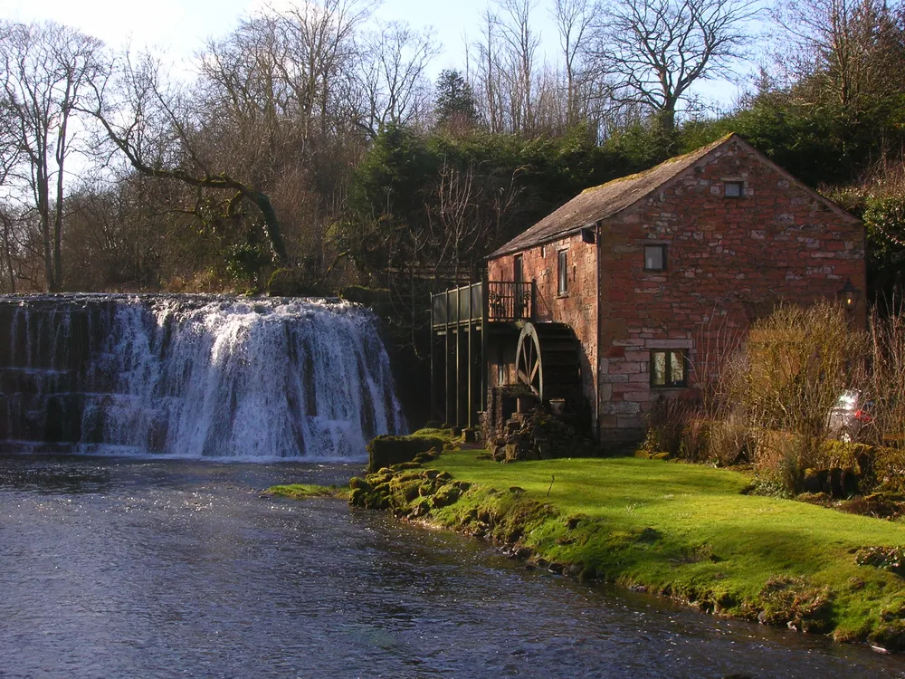Rutter Force