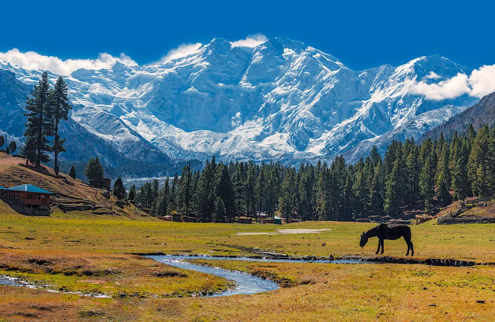 Nanga Parbat