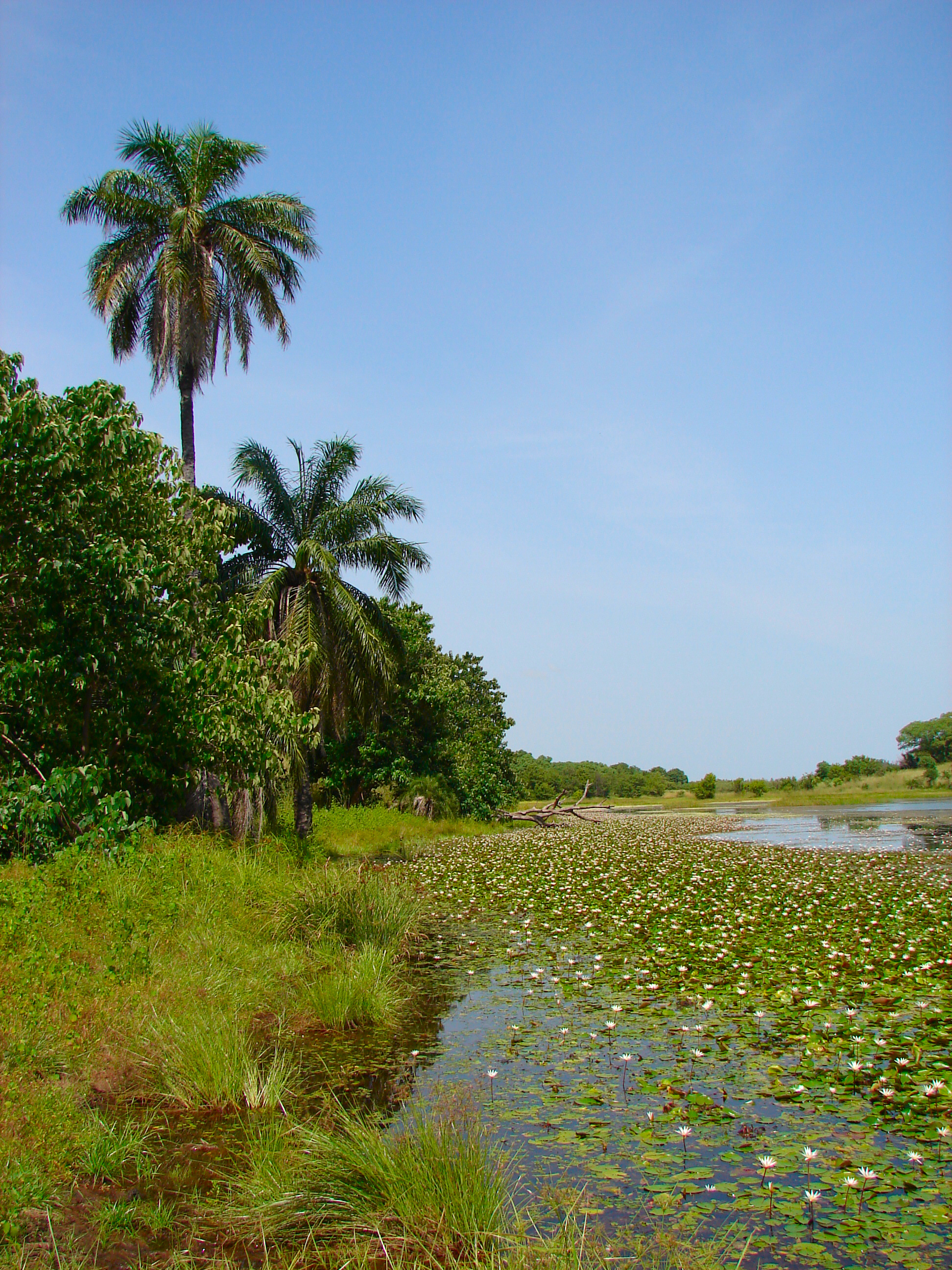 Kiang West National Park, The Gambia
