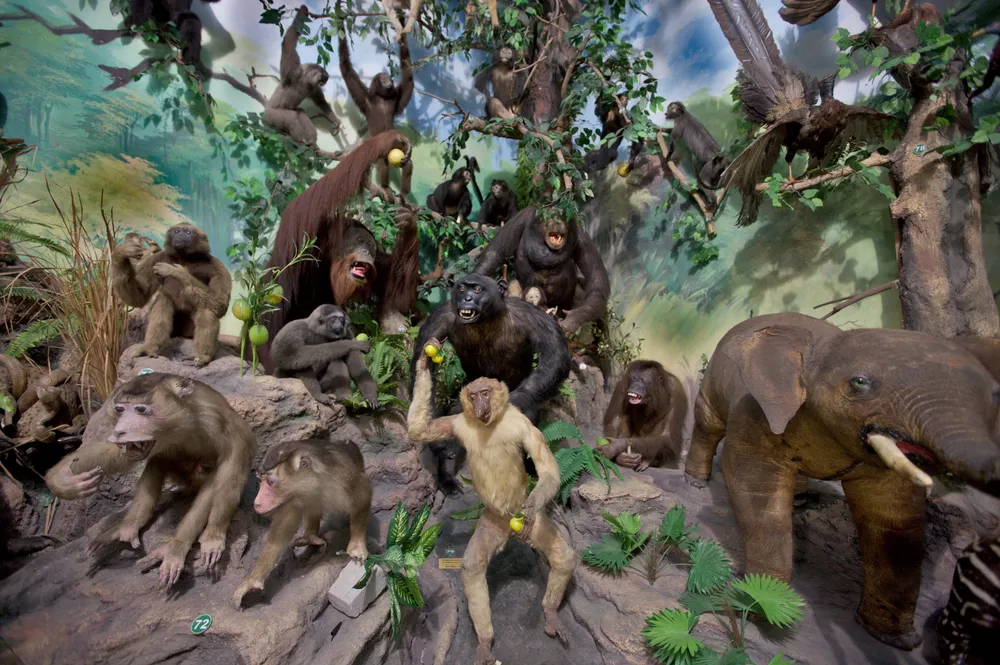 Rahmat International Wildlife Museum & Gallery