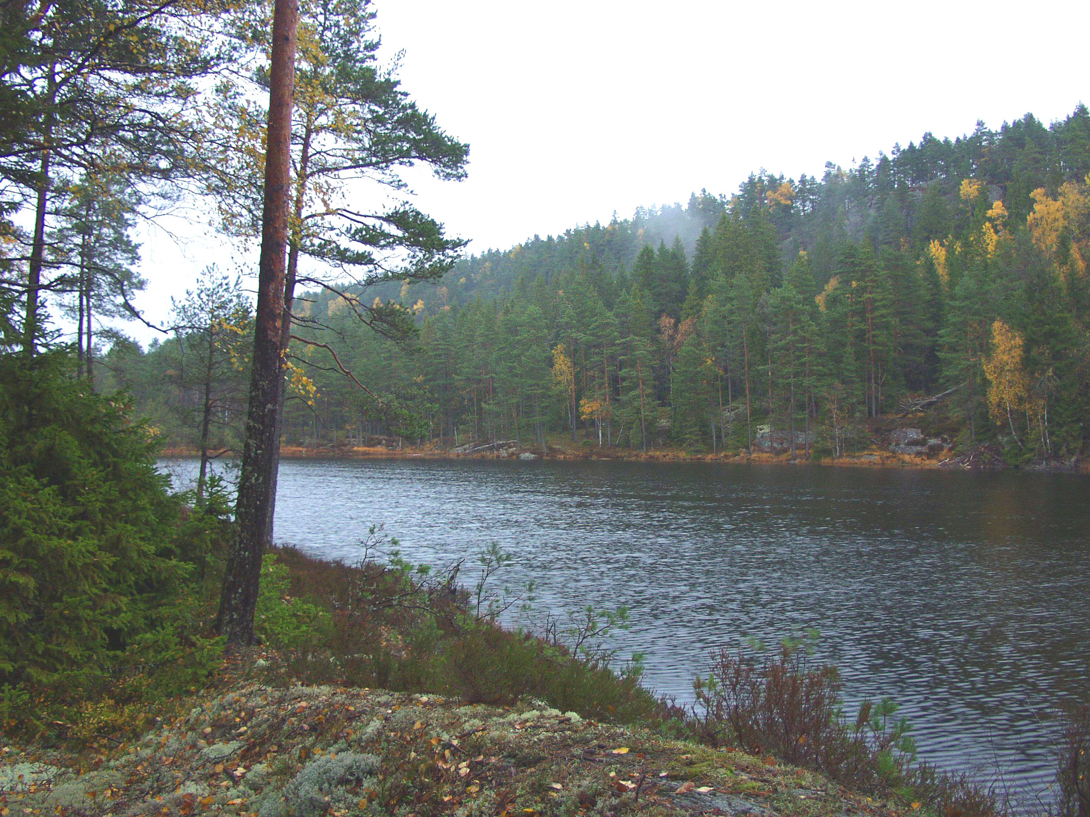 Tresticklan National Park