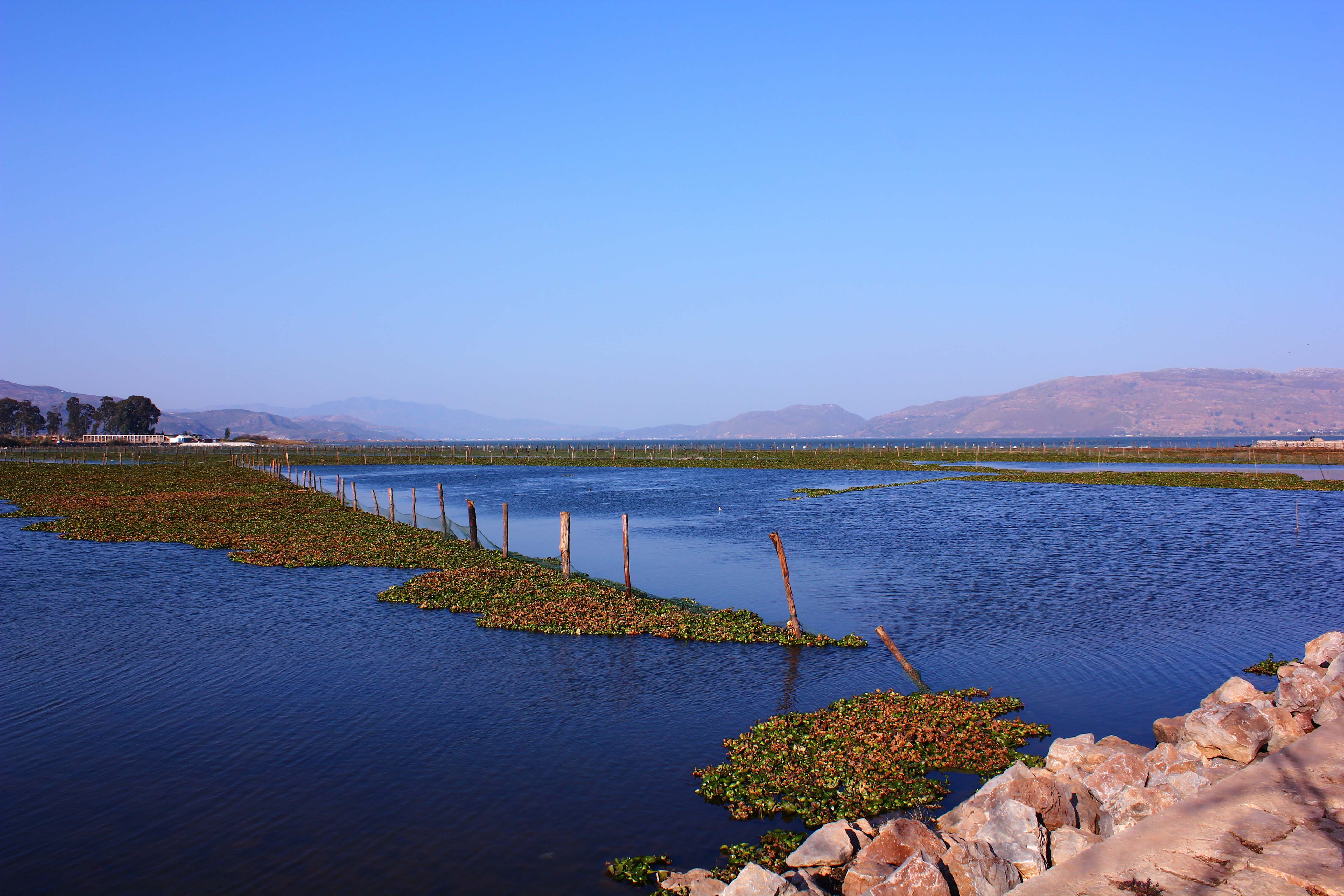 Xingyun Lake