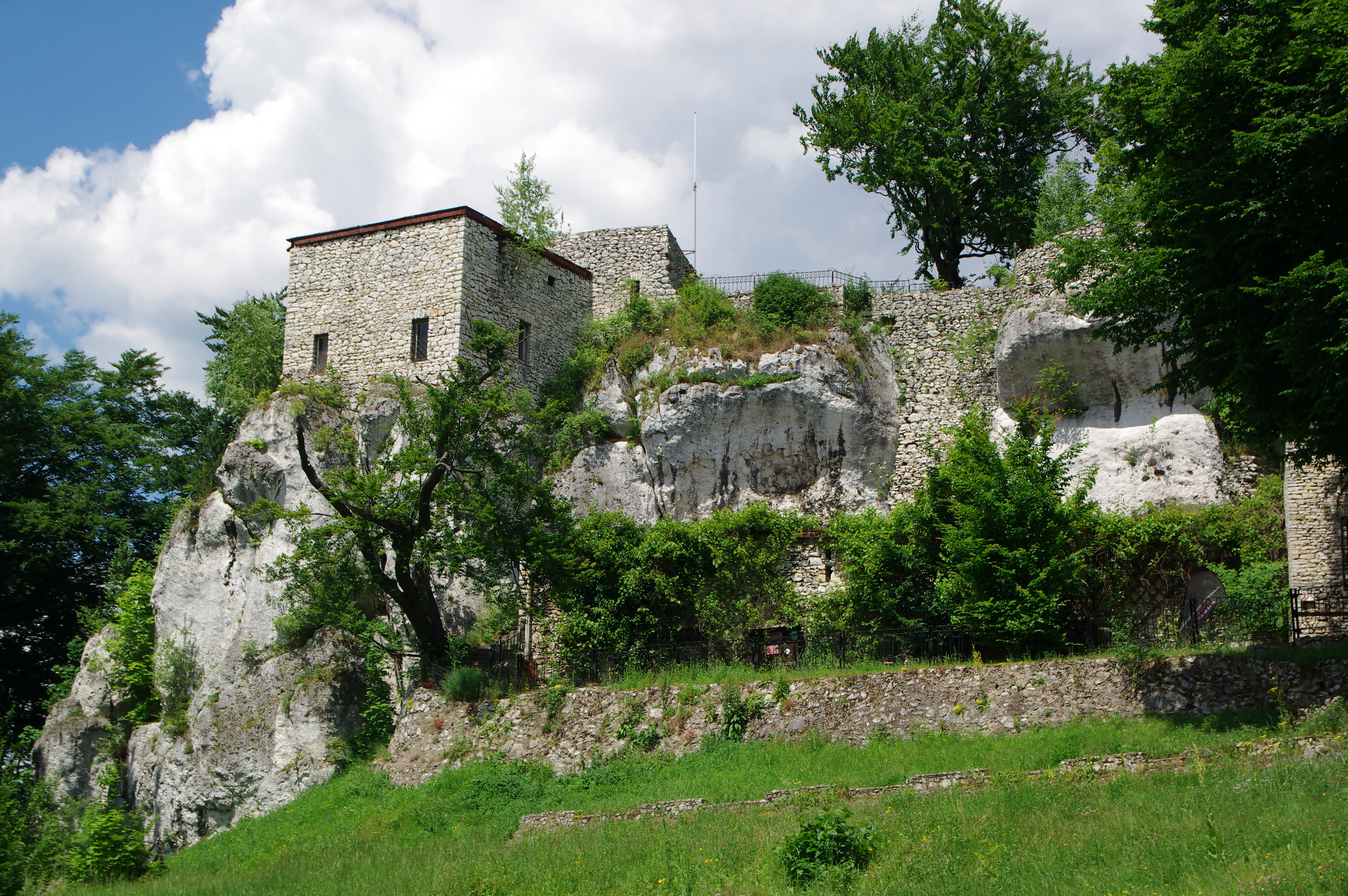 Bąkowiec Castle