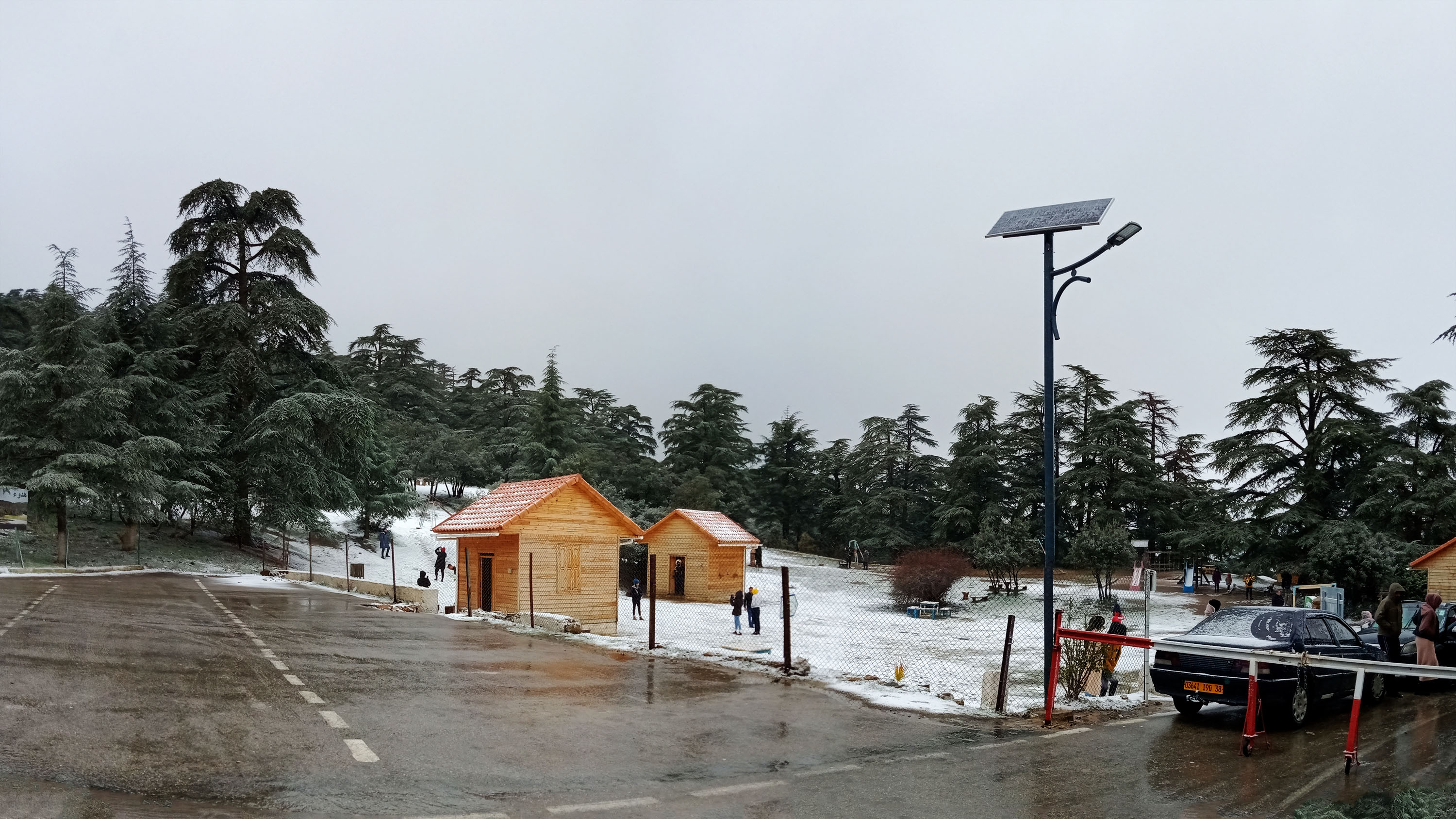 Theniet El Had National Park