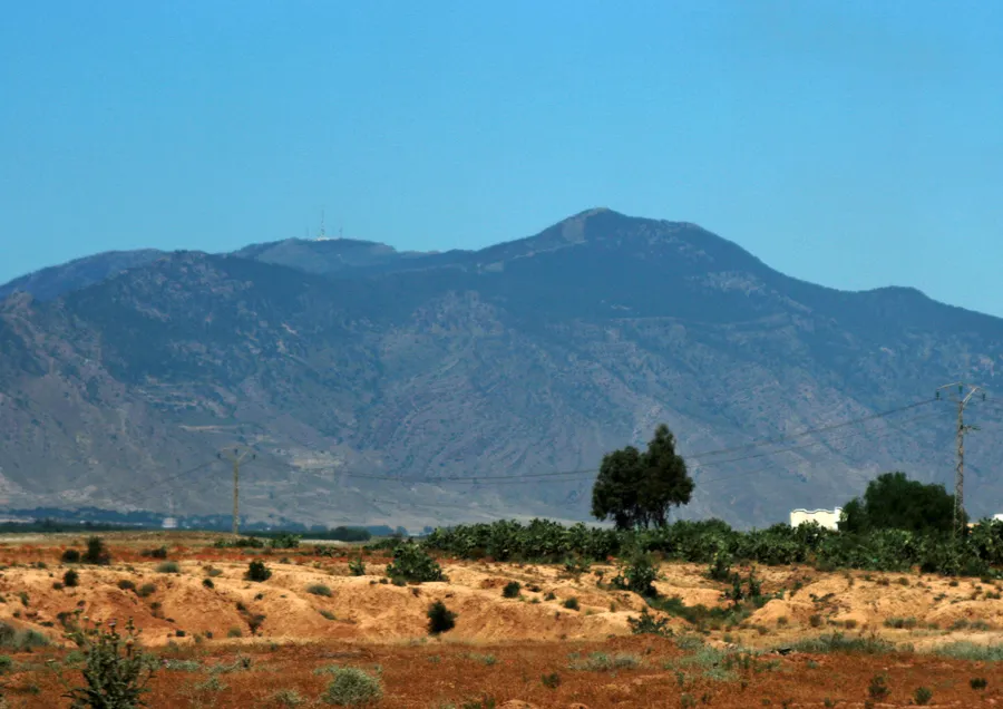 Chambi National Park