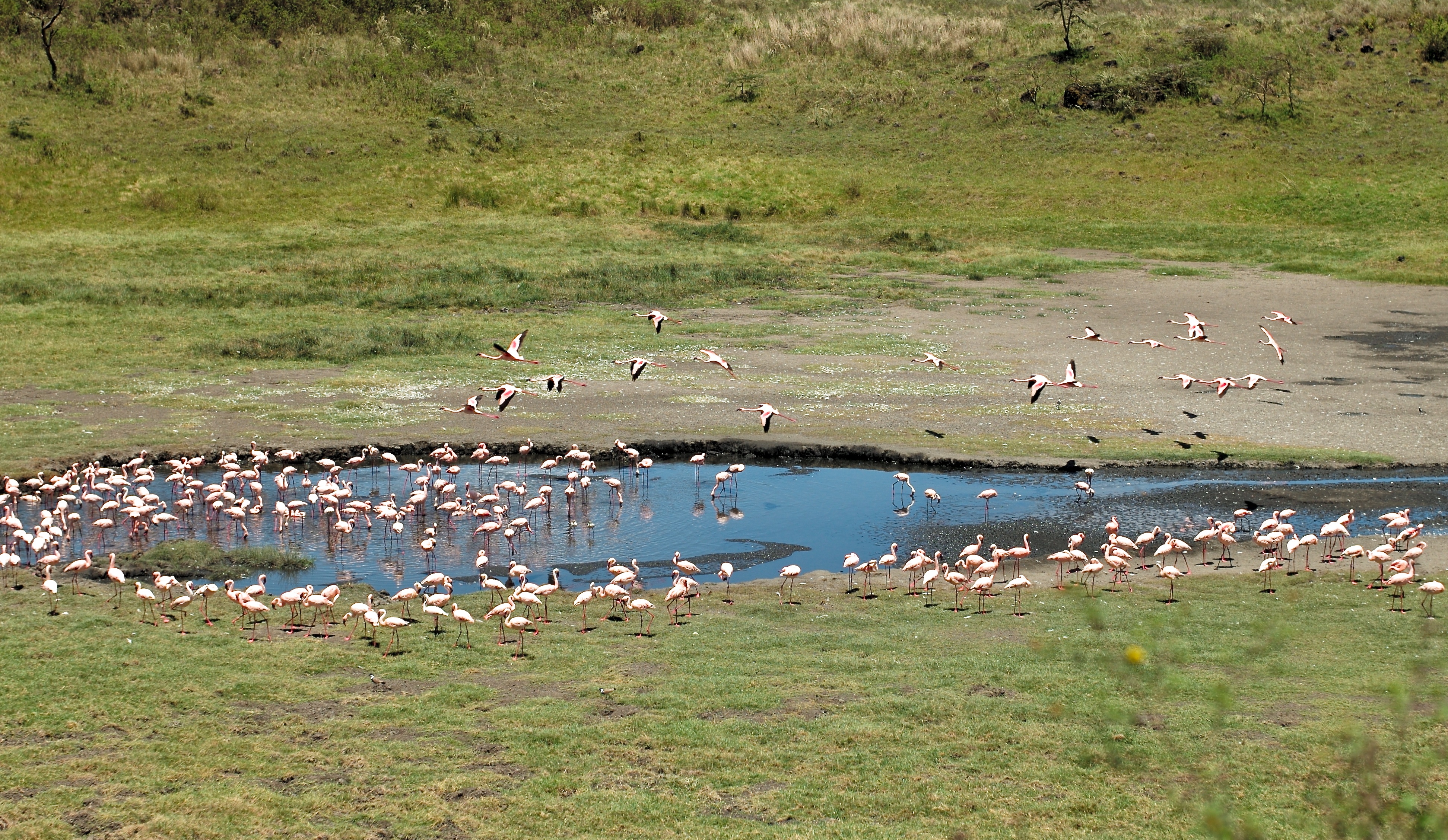 Momela Lakes