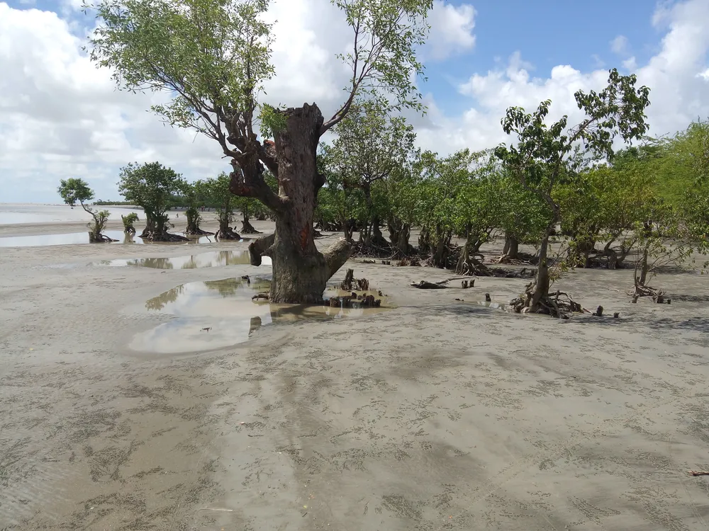 Kuakata National Park