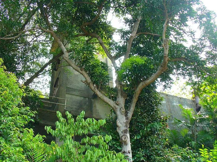 Fort Pasir Panjang