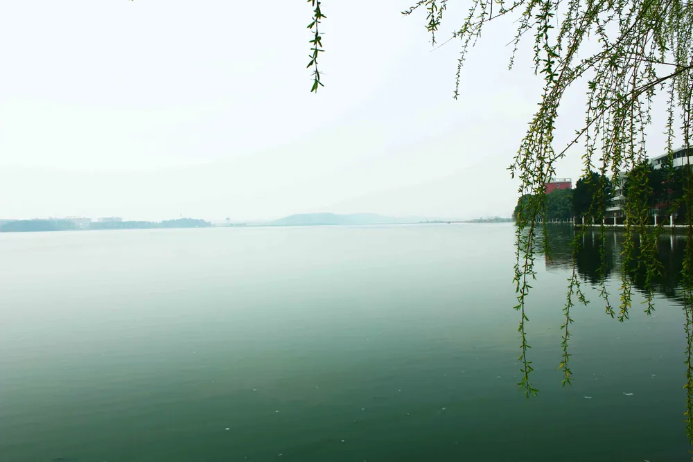 South Lake