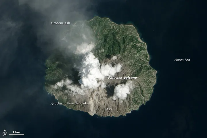 Palue Island