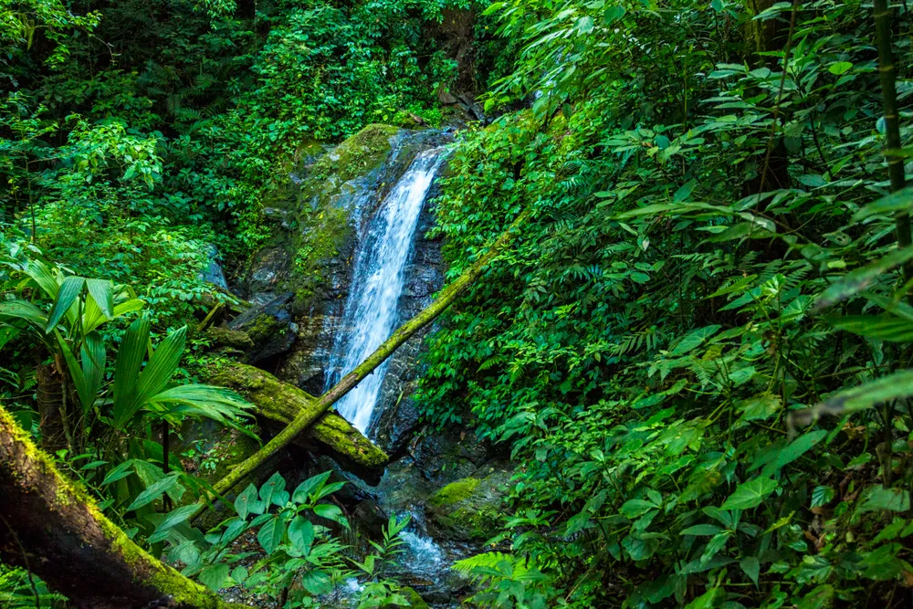 Montaña de Comayagua National Park