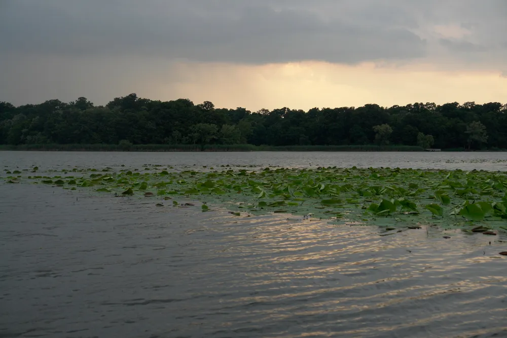 Lake Snagov