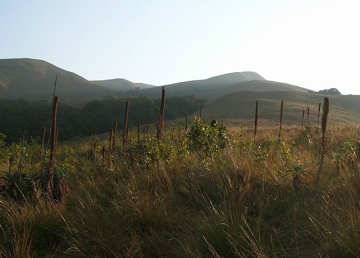 Grass Hills National Park