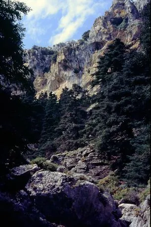 Sierra de las Nieves National Park