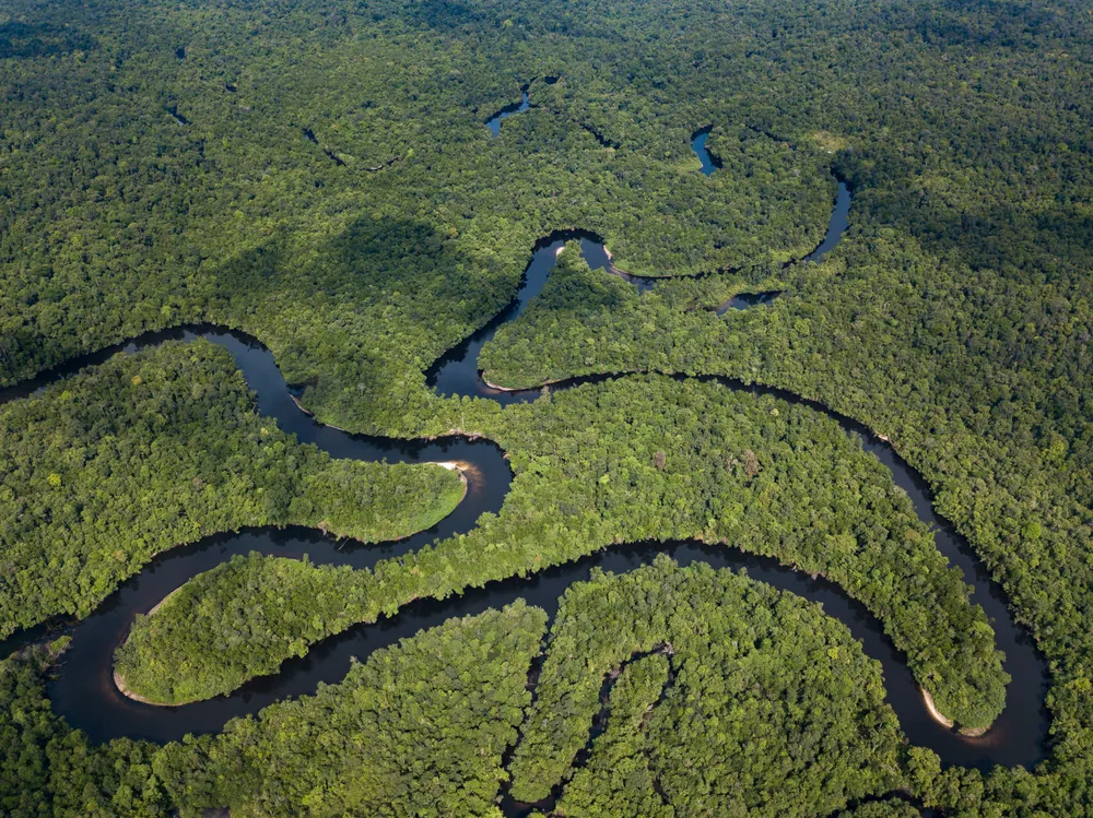 Southern Cardamom National Park