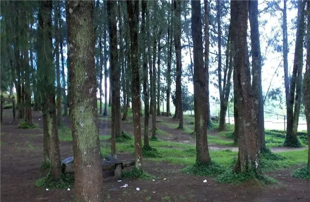 Macarao National Park