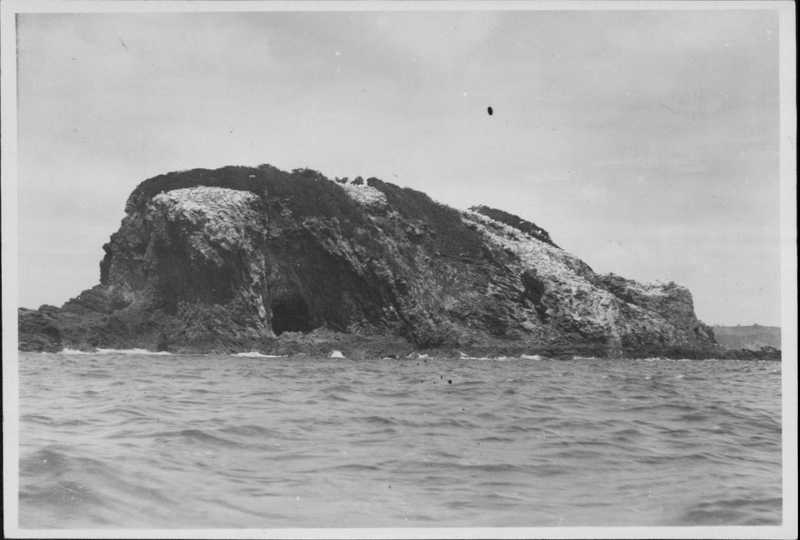 Horuhoru Rock (Gannet Rock)