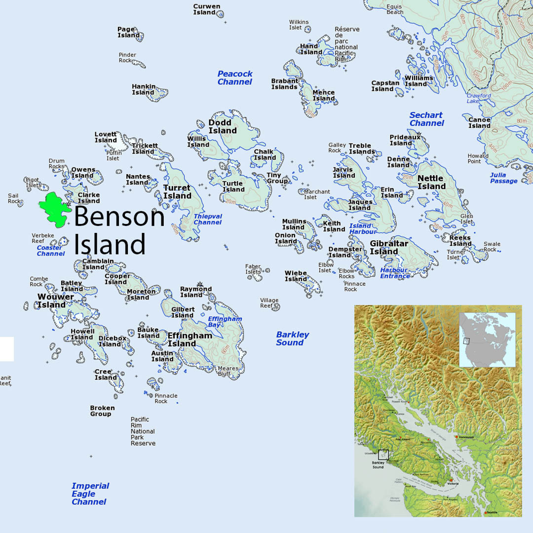 Benson Island
