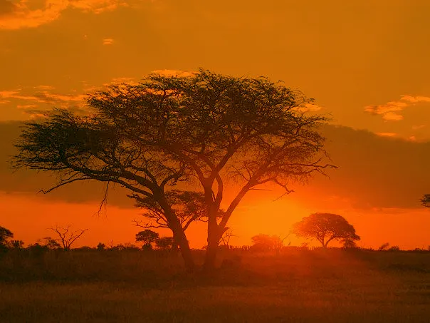 Matobo National Park, Zimbabwe