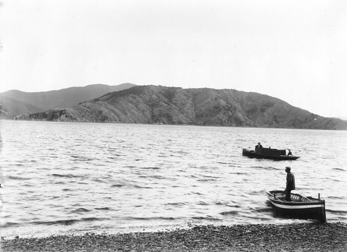 Matapara / Pickersgill Island