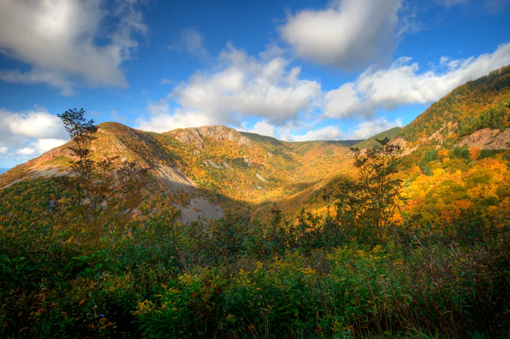 Cape Breton Highlands National Park