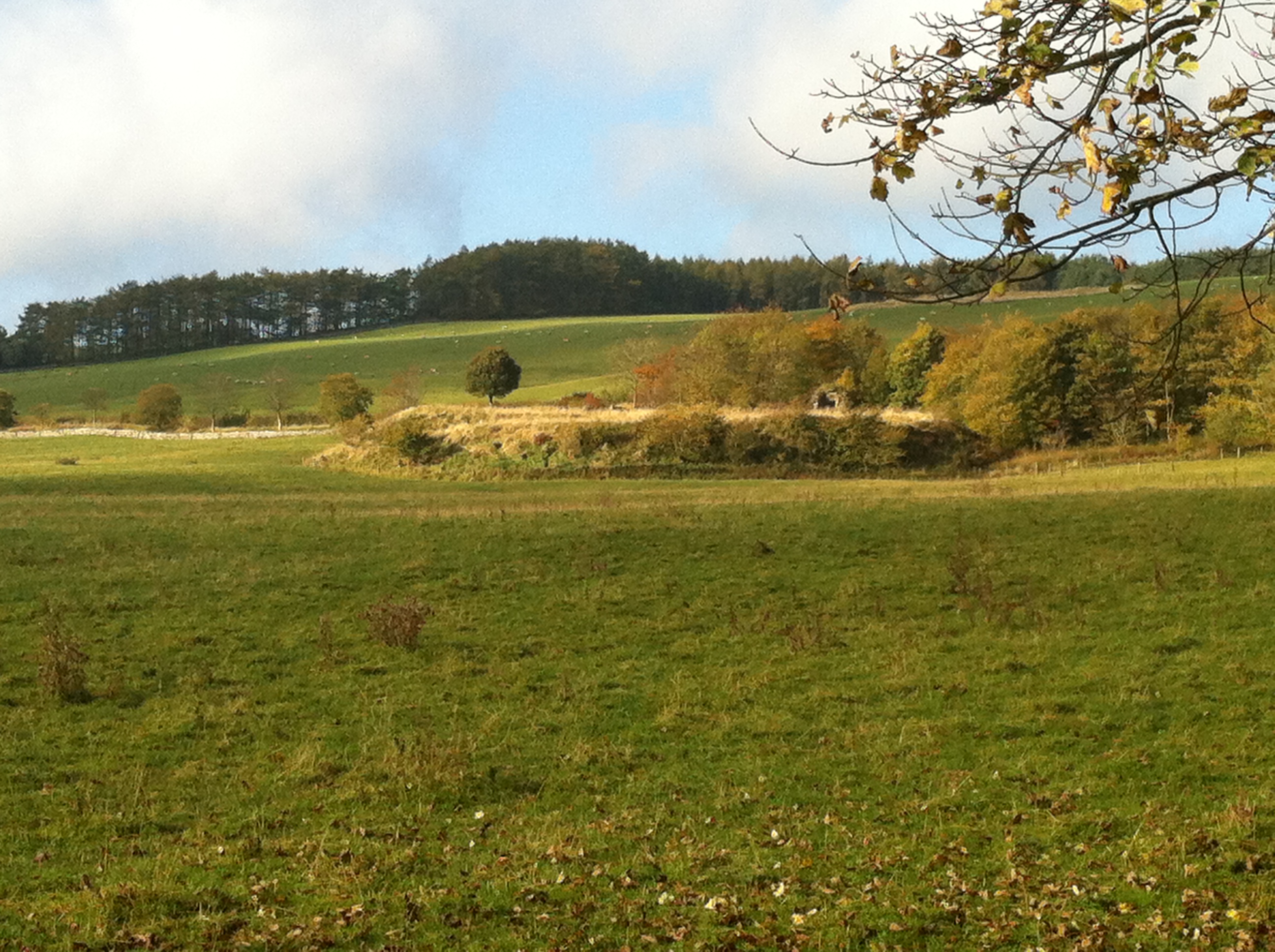 Bonkyll Castle