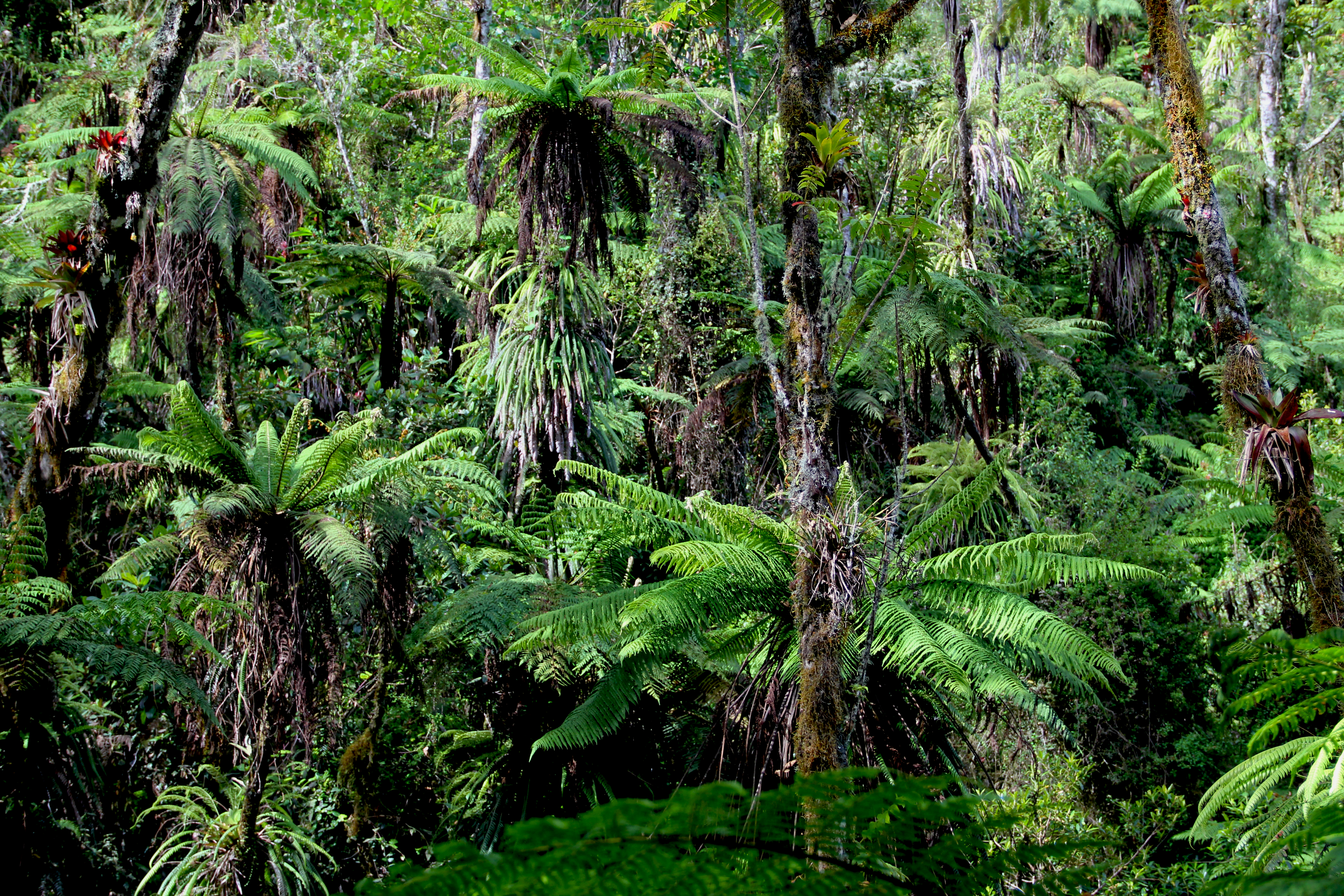 Grande Colline National Park
