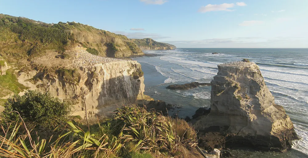 Motutara Island
