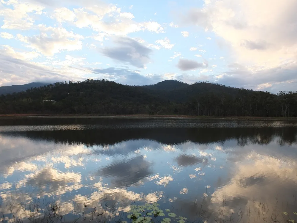 Hasties Swamp National Park