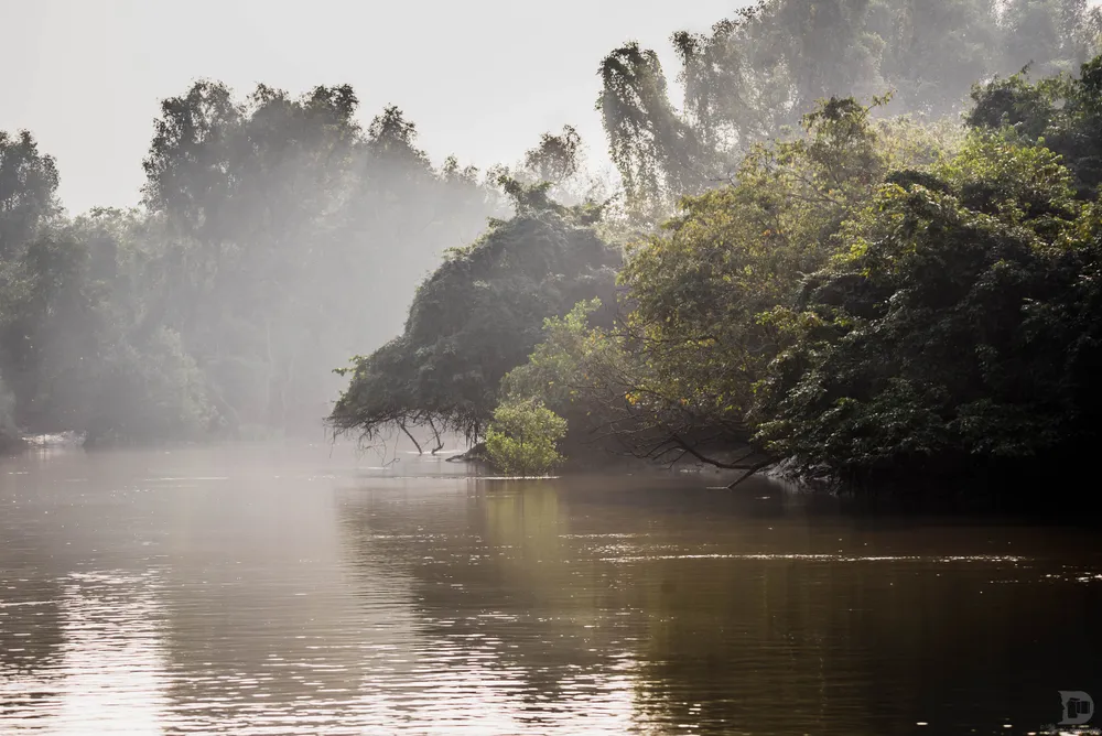 Bhitarkanika National Park