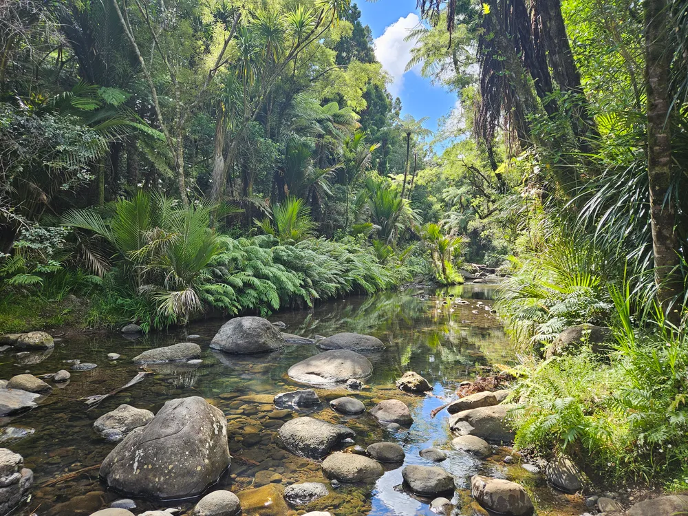 Waitākere Falls
