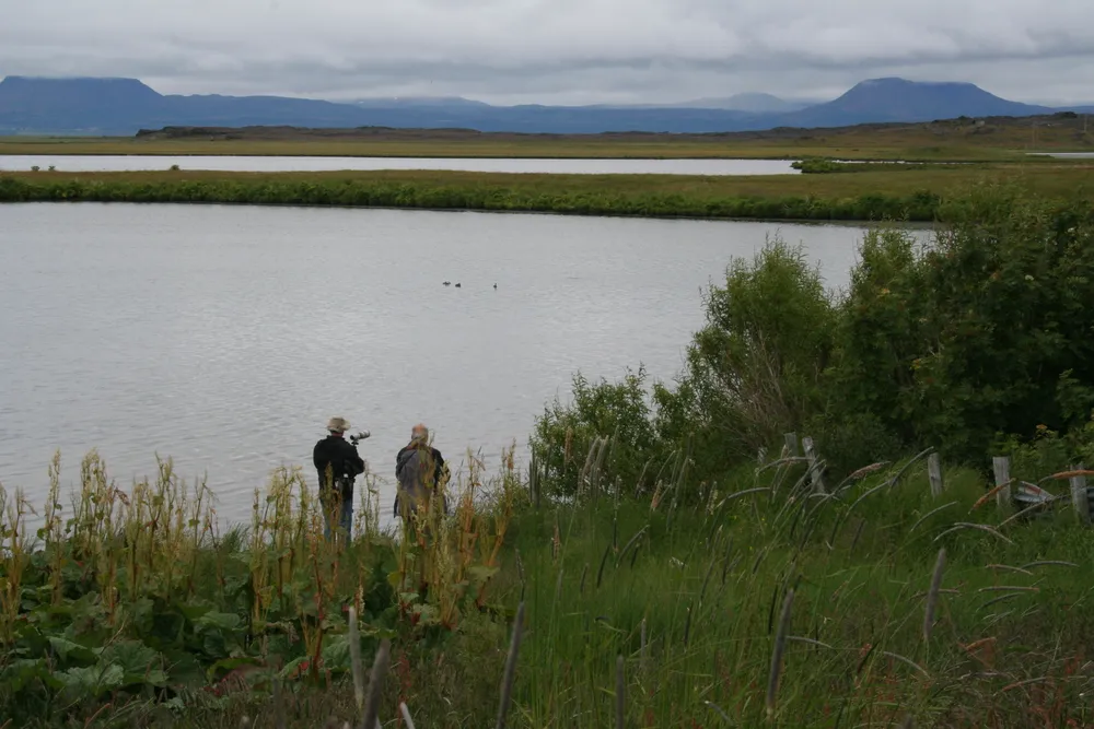 Víkingavatn