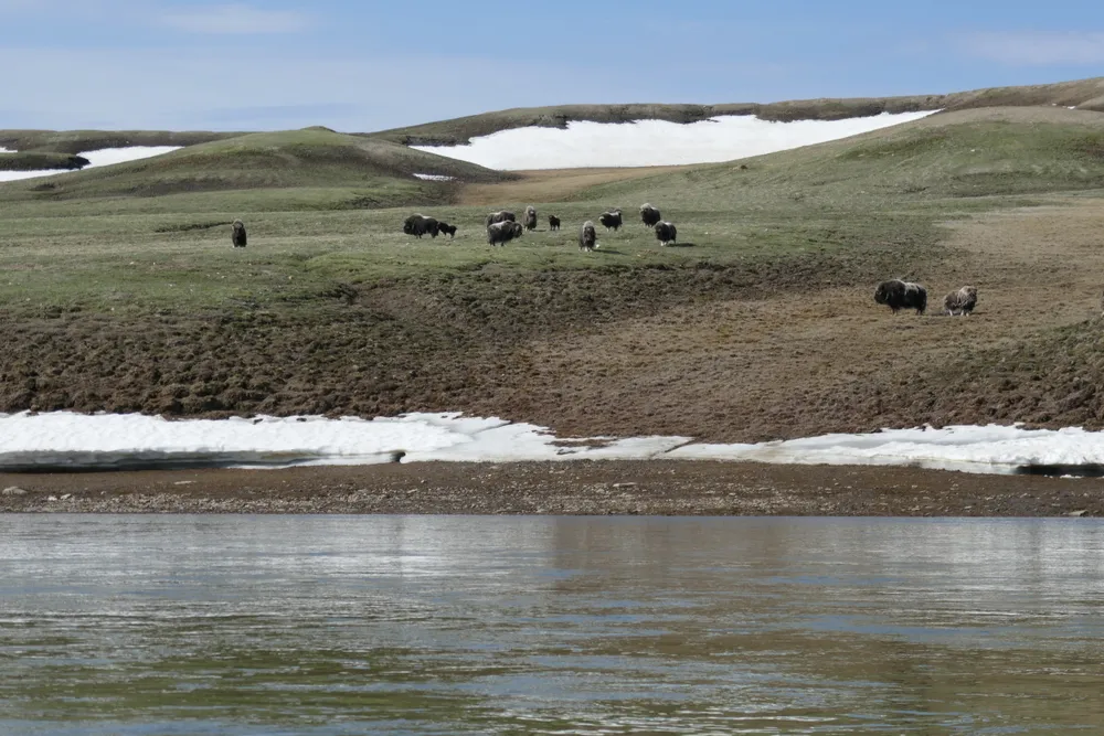 Aulavik National Park