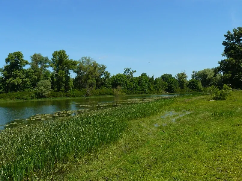 Bile Ozero National Nature Park