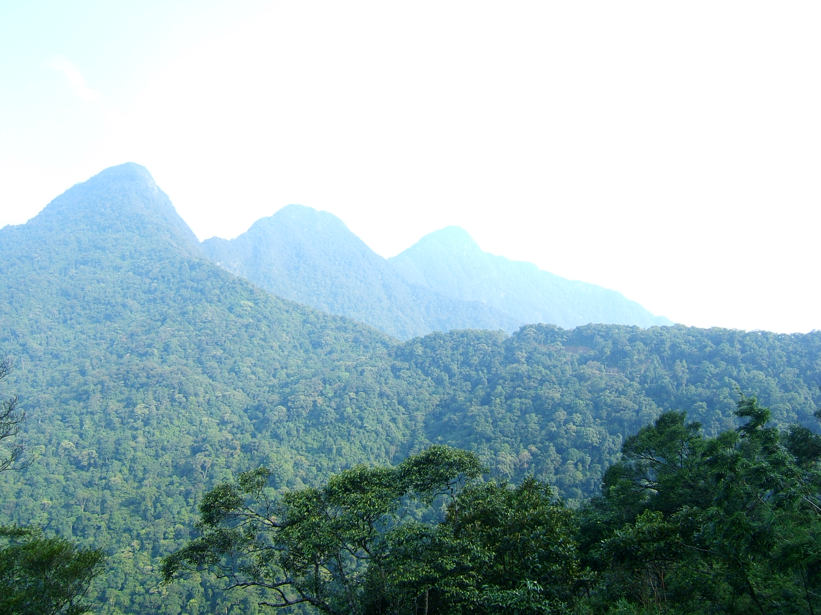 Tam Dao National Park