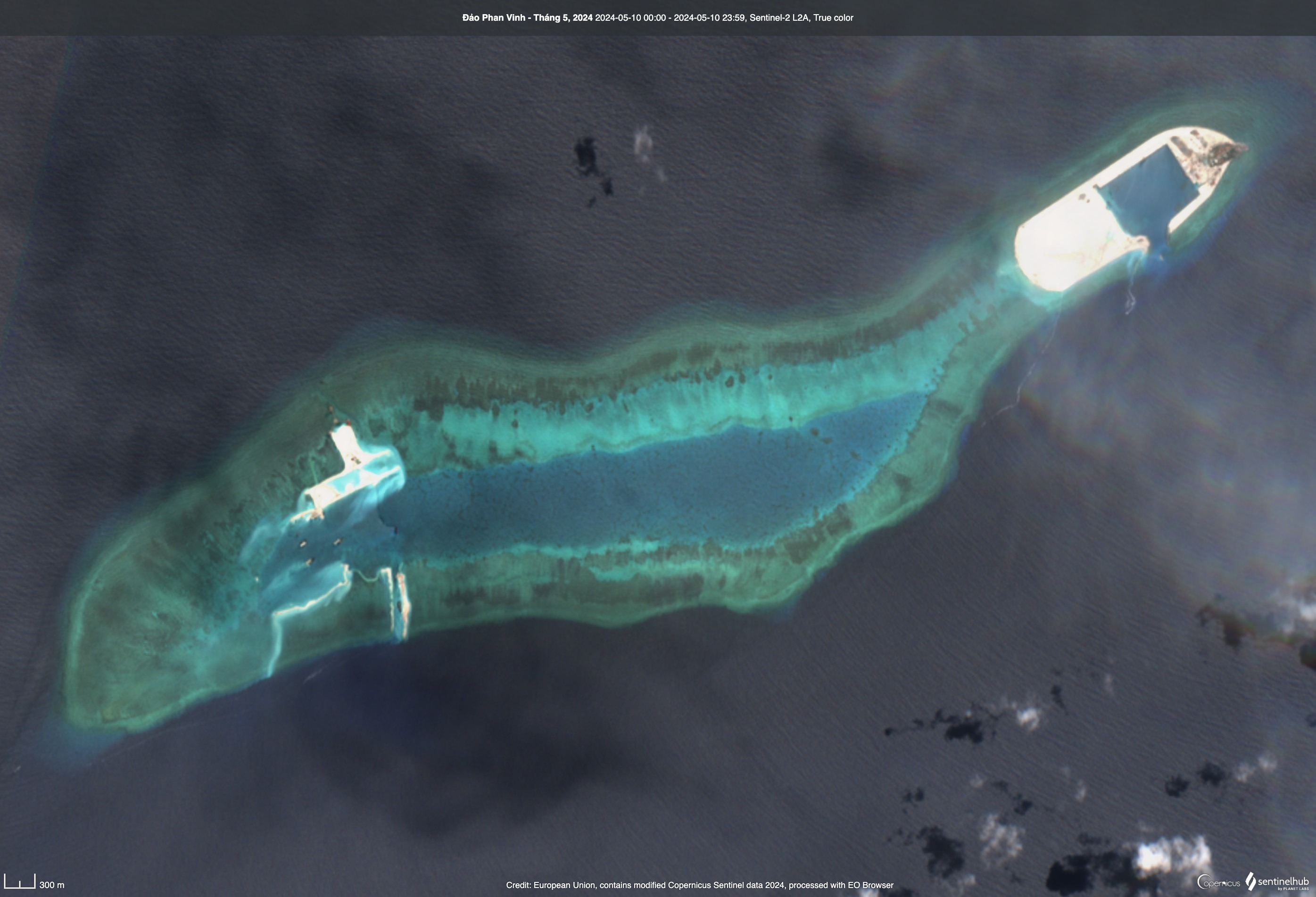 Pearson Reef
