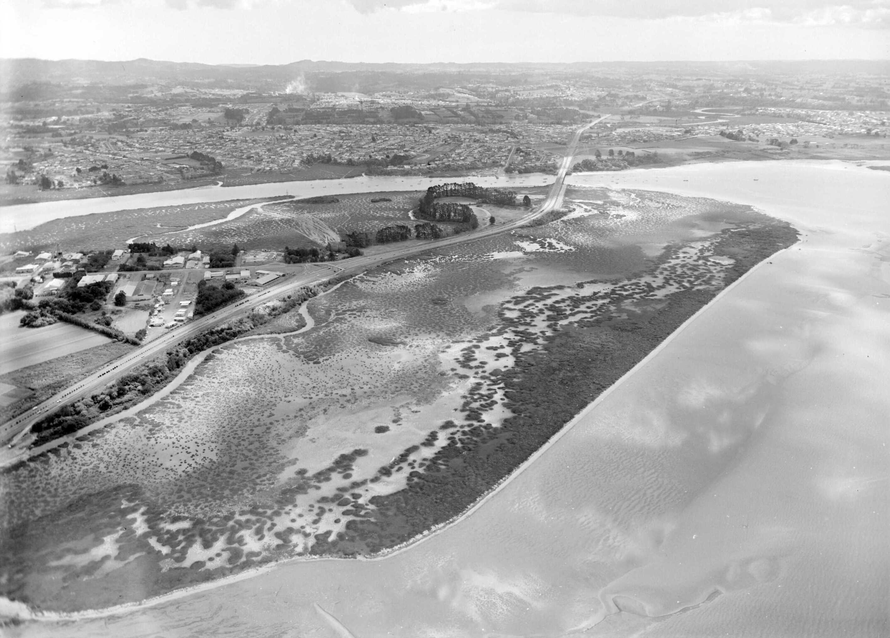 Motumānawa / Pollen Island