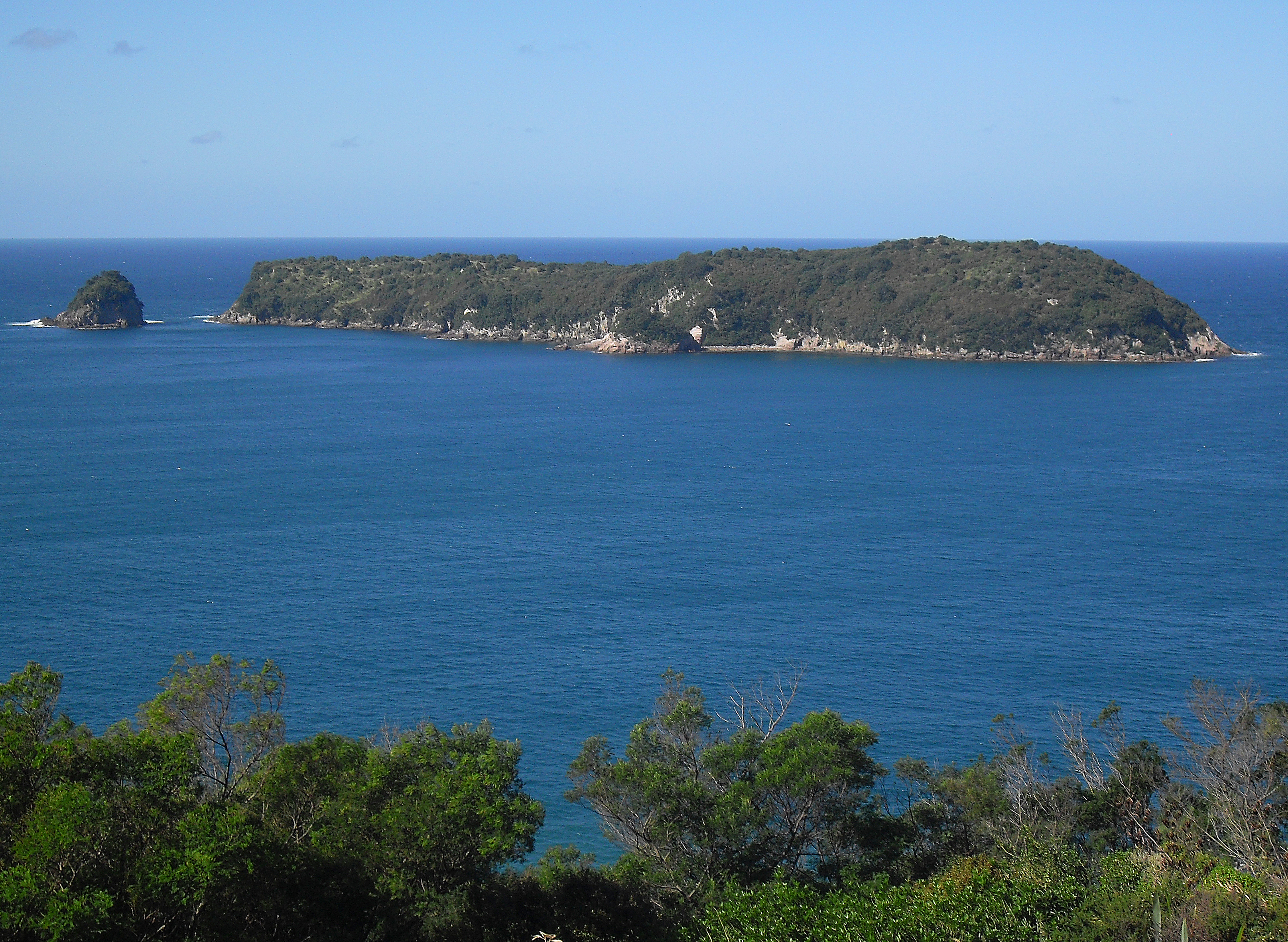 Mahurangi Island (Goat Island)