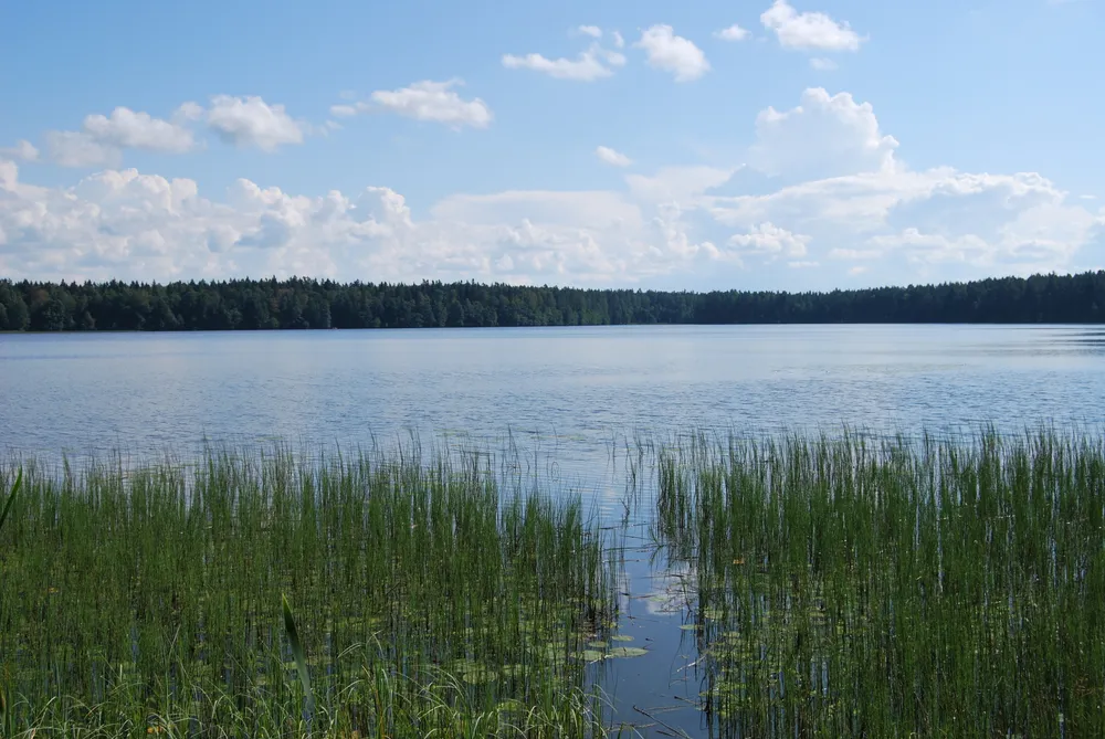 Lake Käsmu