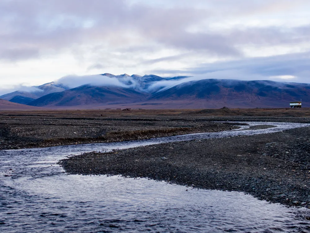 Wrangel Island