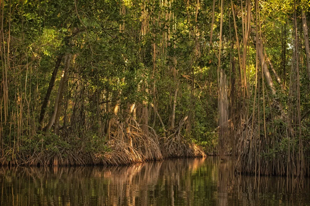 Laguna de Tacarigua National Park
