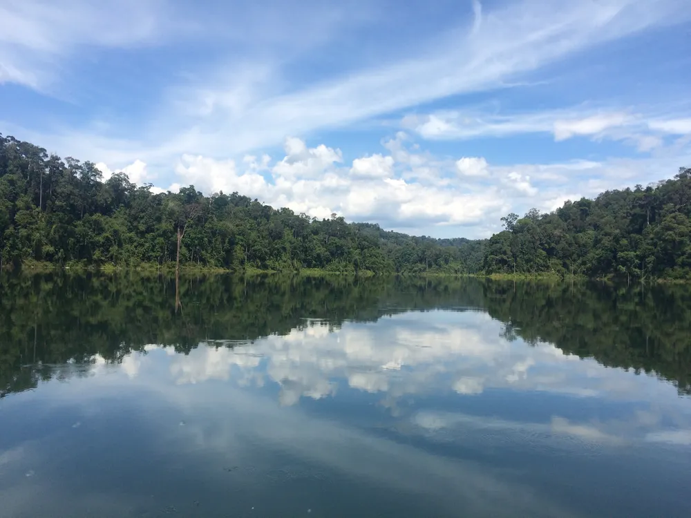 Belum Temenggor Forest Reserve