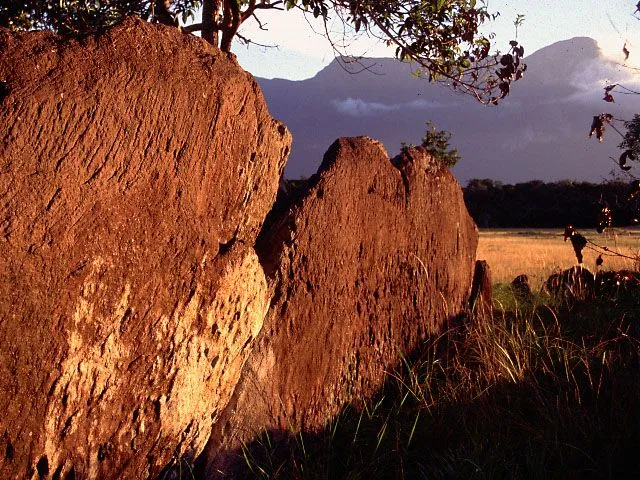 Duida-Marahuaca National Park