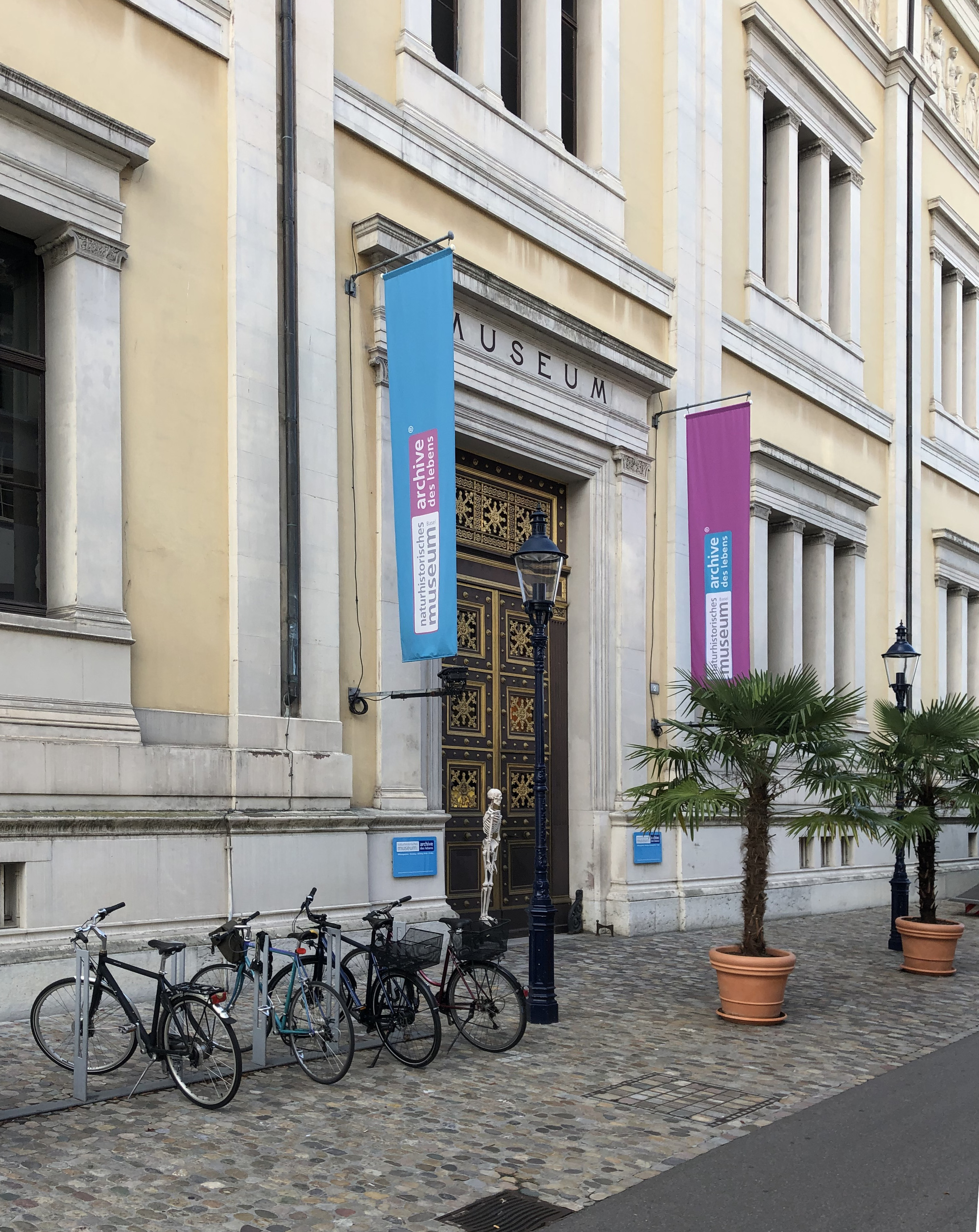 Natural History Museum of Basel